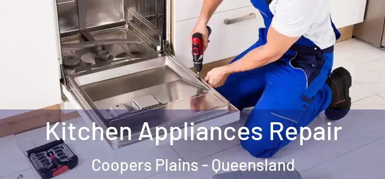 Kitchen Appliances Repair Coopers Plains - Queensland