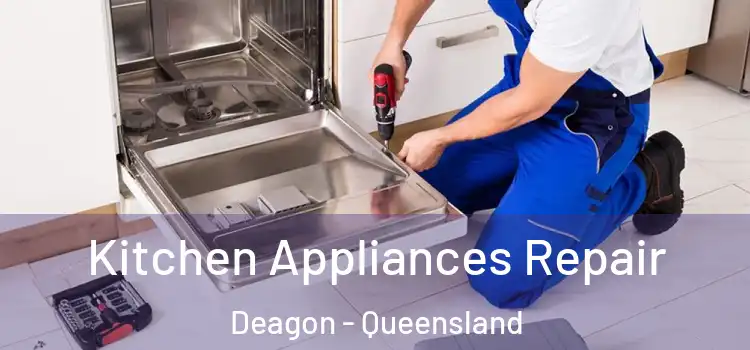 Kitchen Appliances Repair Deagon - Queensland