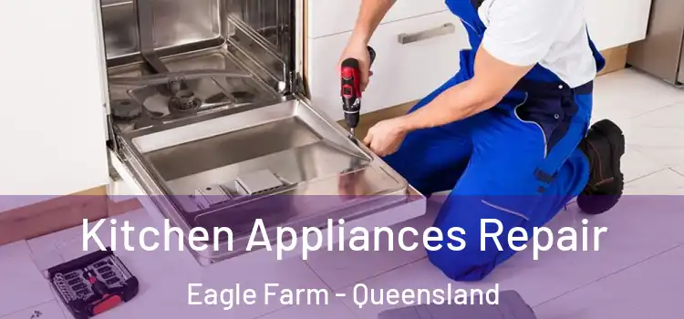 Kitchen Appliances Repair Eagle Farm - Queensland