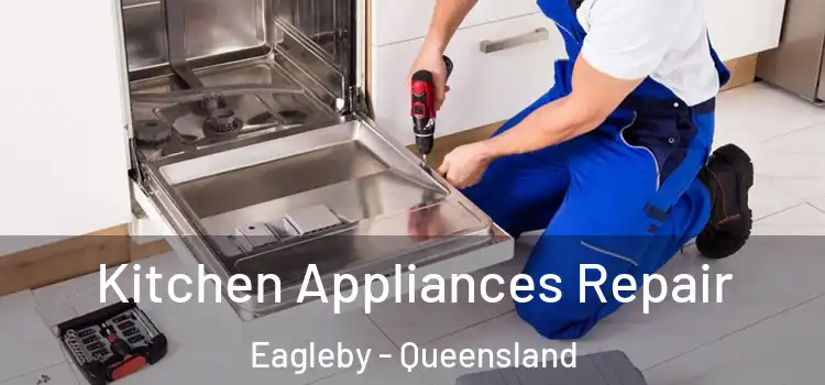 Kitchen Appliances Repair Eagleby - Queensland