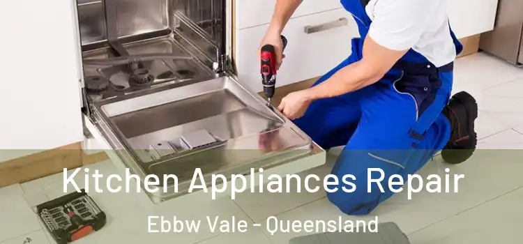 Kitchen Appliances Repair Ebbw Vale - Queensland