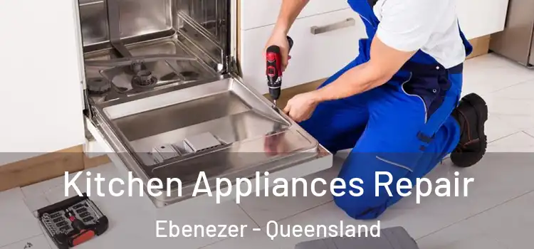Kitchen Appliances Repair Ebenezer - Queensland