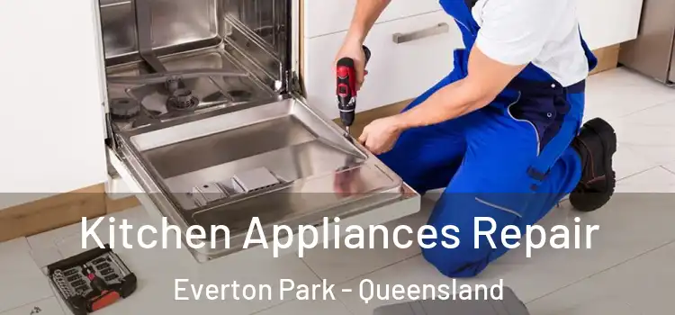 Kitchen Appliances Repair Everton Park - Queensland