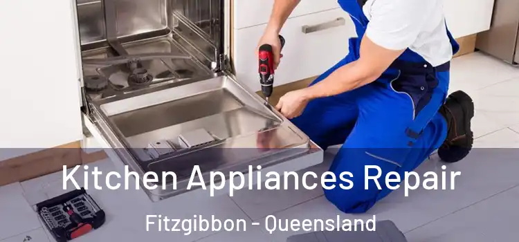 Kitchen Appliances Repair Fitzgibbon - Queensland