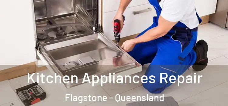 Kitchen Appliances Repair Flagstone - Queensland