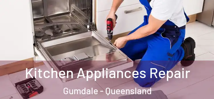 Kitchen Appliances Repair Gumdale - Queensland