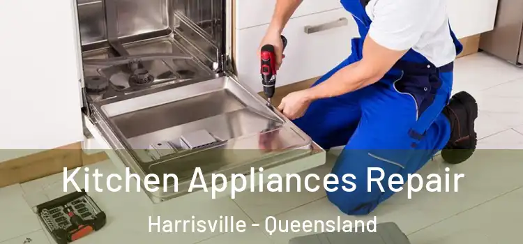 Kitchen Appliances Repair Harrisville - Queensland
