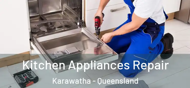 Kitchen Appliances Repair Karawatha - Queensland