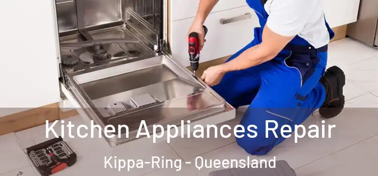 Kitchen Appliances Repair Kippa-Ring - Queensland