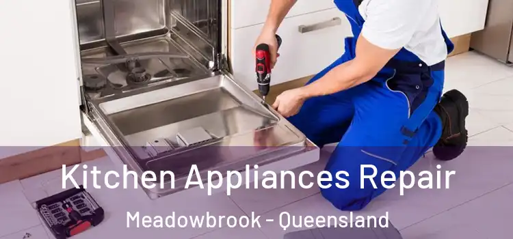 Kitchen Appliances Repair Meadowbrook - Queensland