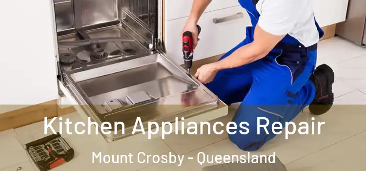Kitchen Appliances Repair Mount Crosby - Queensland