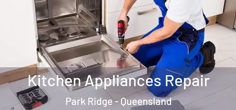 Kitchen Appliances Repair Park Ridge - Queensland