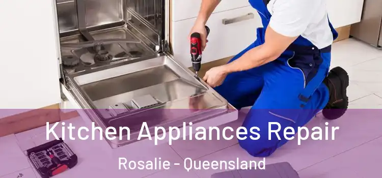 Kitchen Appliances Repair Rosalie - Queensland