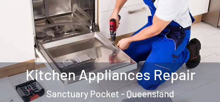 Kitchen Appliances Repair Sanctuary Pocket - Queensland