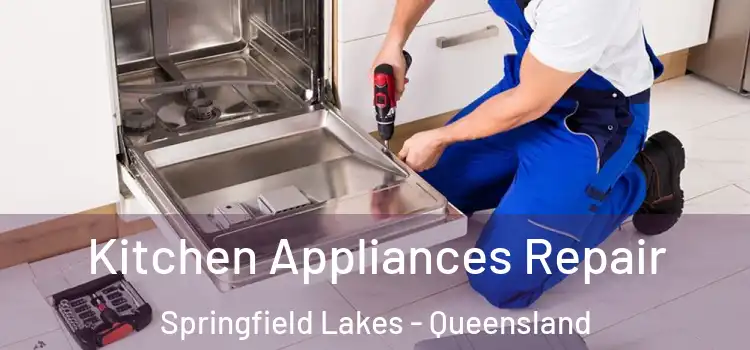 Kitchen Appliances Repair Springfield Lakes - Queensland