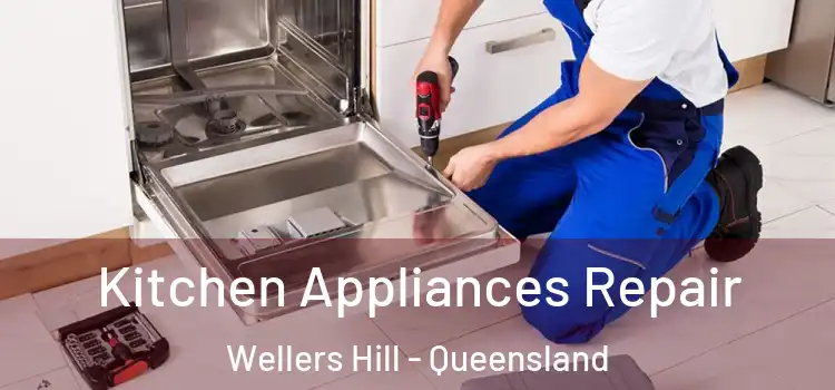 Kitchen Appliances Repair Wellers Hill - Queensland