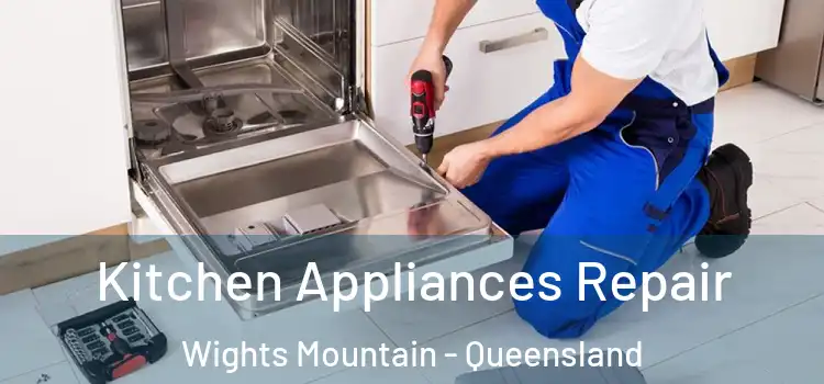 Kitchen Appliances Repair Wights Mountain - Queensland