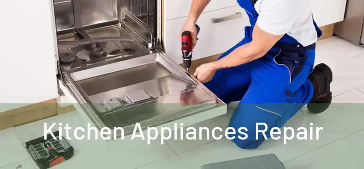 Kitchen Appliances Repair