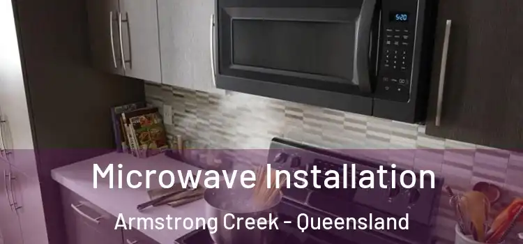 Microwave Installation Armstrong Creek - Queensland