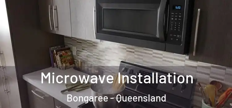 Microwave Installation Bongaree - Queensland
