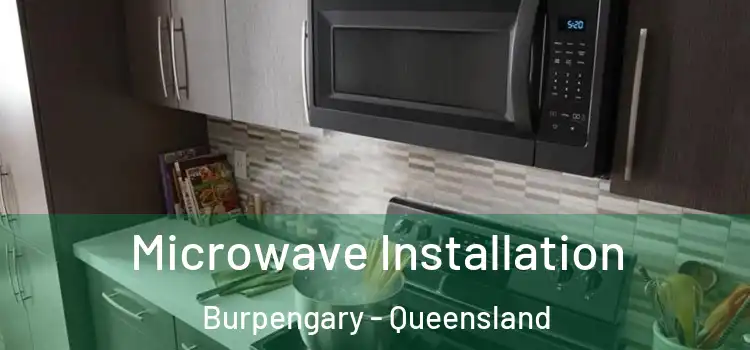 Microwave Installation Burpengary - Queensland