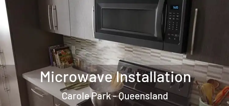 Microwave Installation Carole Park - Queensland