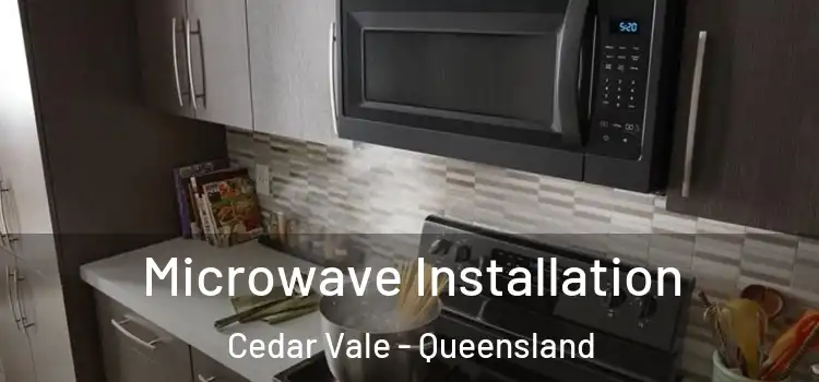Microwave Installation Cedar Vale - Queensland