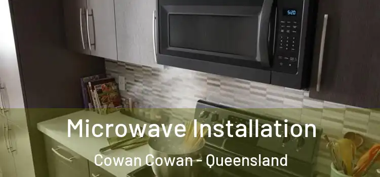 Microwave Installation Cowan Cowan - Queensland