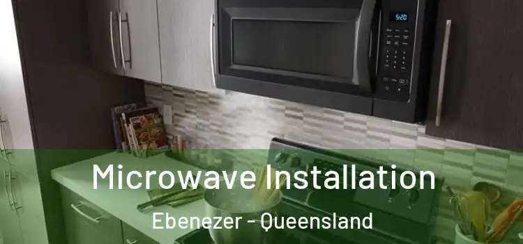 Microwave Installation Ebenezer - Queensland