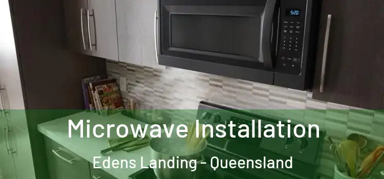 Microwave Installation Edens Landing - Queensland