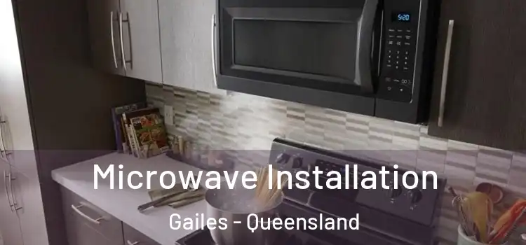 Microwave Installation Gailes - Queensland
