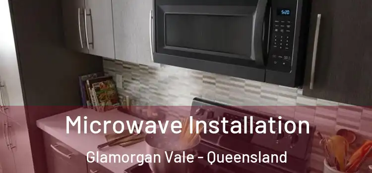 Microwave Installation Glamorgan Vale - Queensland