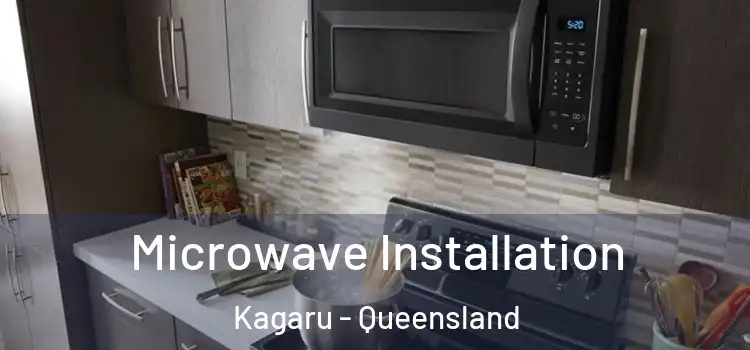 Microwave Installation Kagaru - Queensland