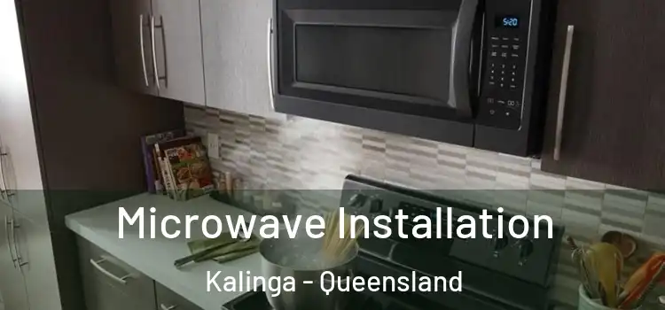 Microwave Installation Kalinga - Queensland