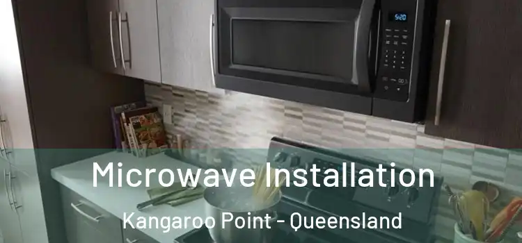 Microwave Installation Kangaroo Point - Queensland