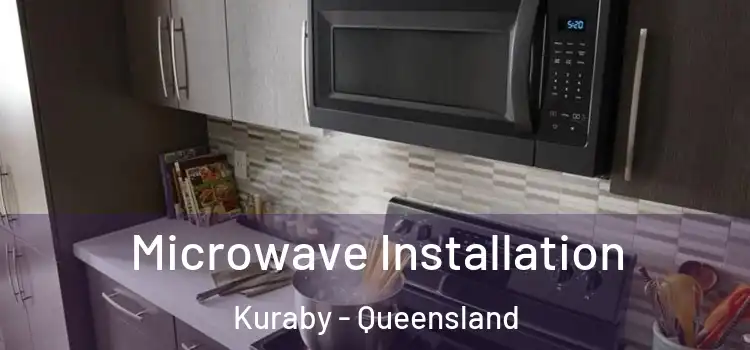 Microwave Installation Kuraby - Queensland