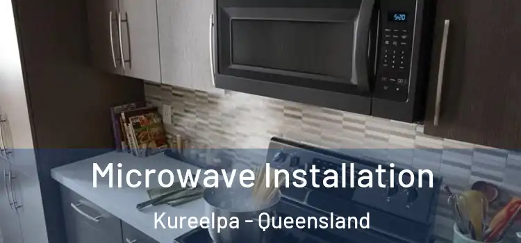 Microwave Installation Kureelpa - Queensland