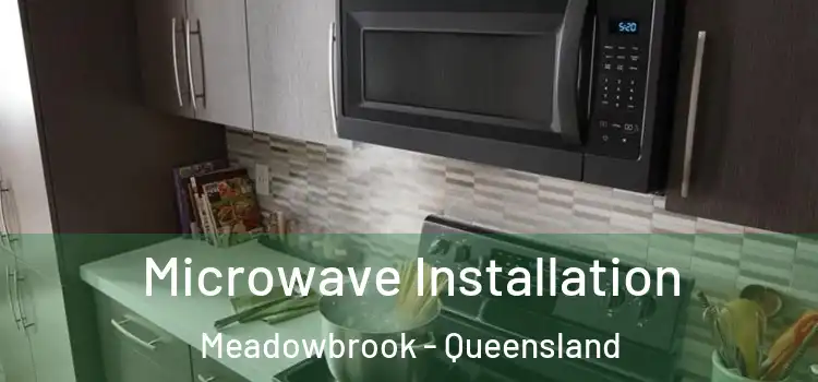 Microwave Installation Meadowbrook - Queensland