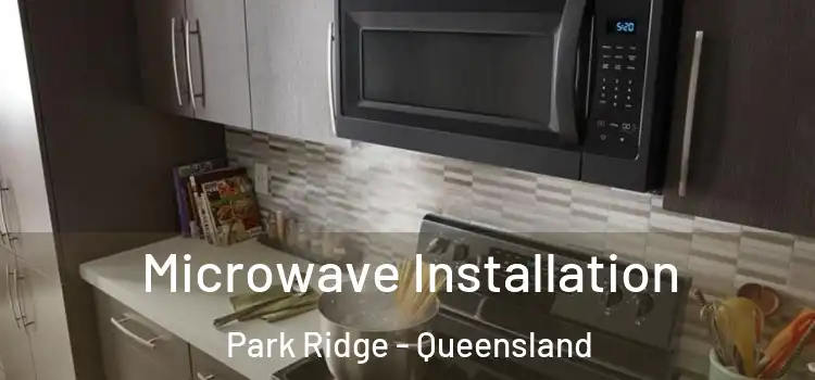 Microwave Installation Park Ridge - Queensland