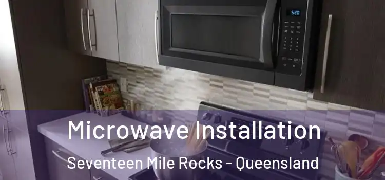 Microwave Installation Seventeen Mile Rocks - Queensland