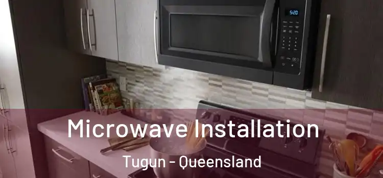 Microwave Installation Tugun - Queensland