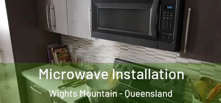 Microwave Installation Wights Mountain - Queensland
