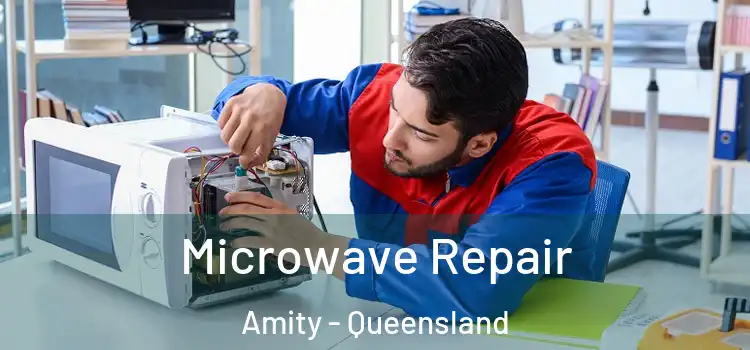 Microwave Repair Amity - Queensland
