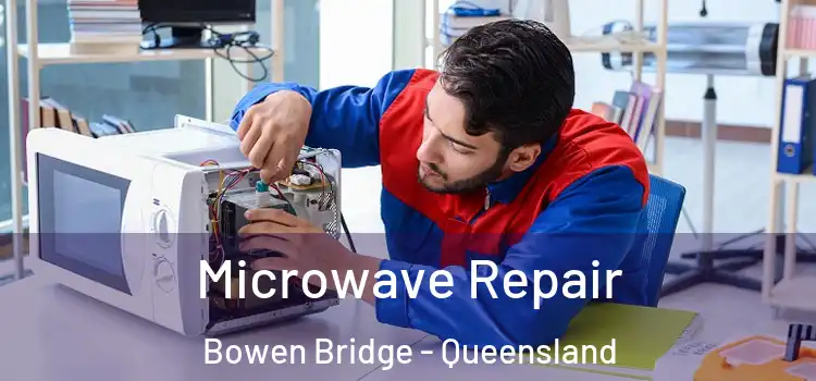 Microwave Repair Bowen Bridge - Queensland