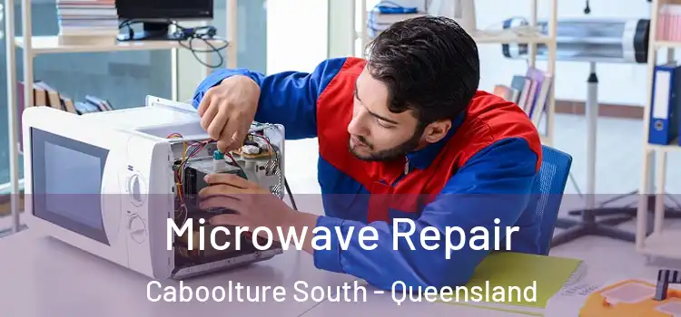 Microwave Repair Caboolture South - Queensland