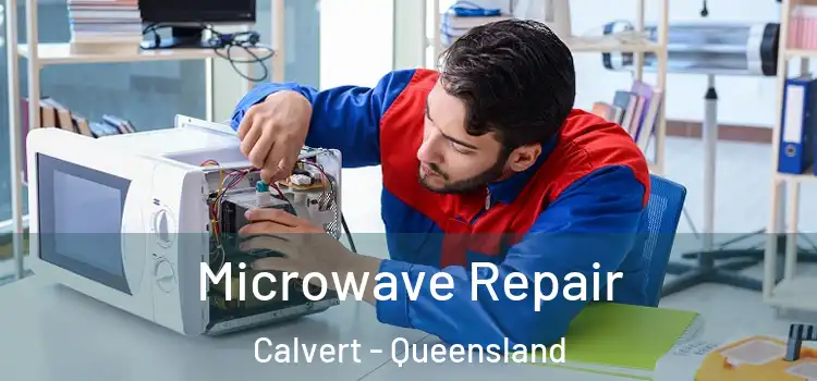 Microwave Repair Calvert - Queensland