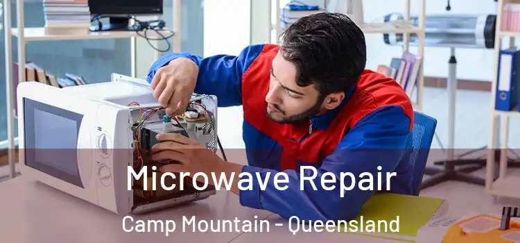 Microwave Repair Camp Mountain - Queensland