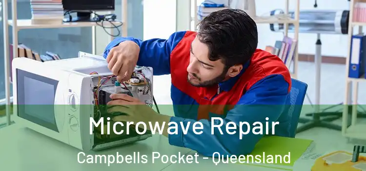 Microwave Repair Campbells Pocket - Queensland