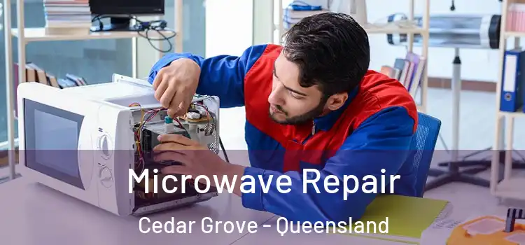 Microwave Repair Cedar Grove - Queensland