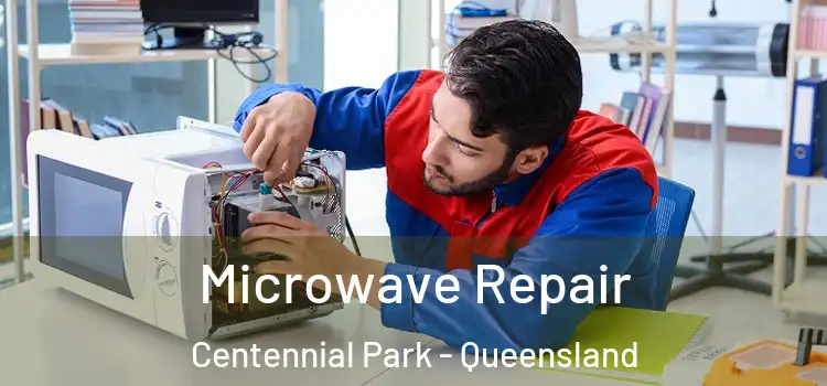 Microwave Repair Centennial Park - Queensland